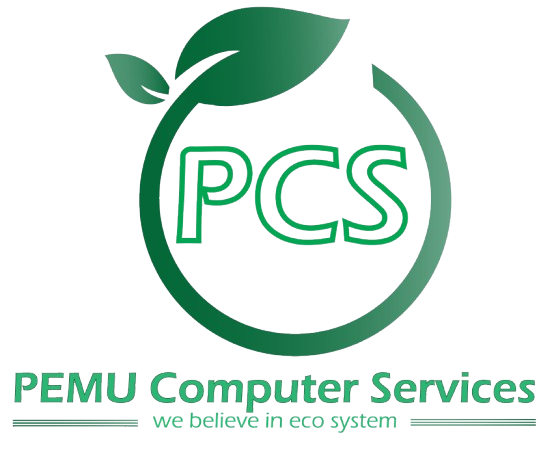 Pemu Computer Services